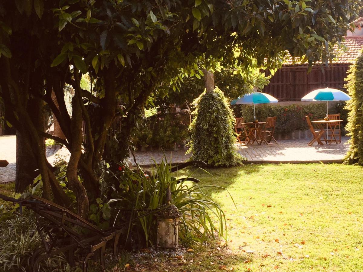 Quinta Padre Lobo Pension Santa Maria da Feira Buitenkant foto