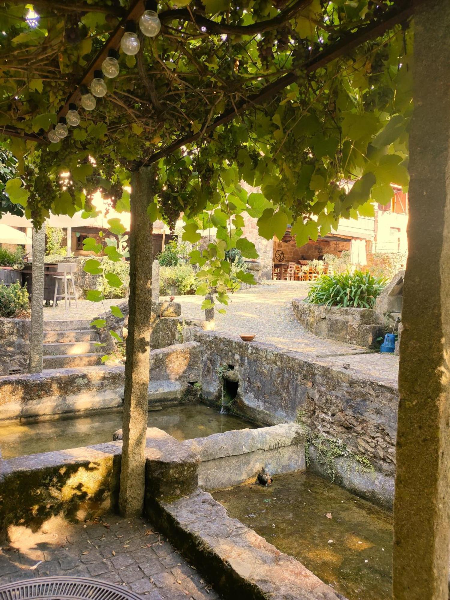 Quinta Padre Lobo Pension Santa Maria da Feira Buitenkant foto