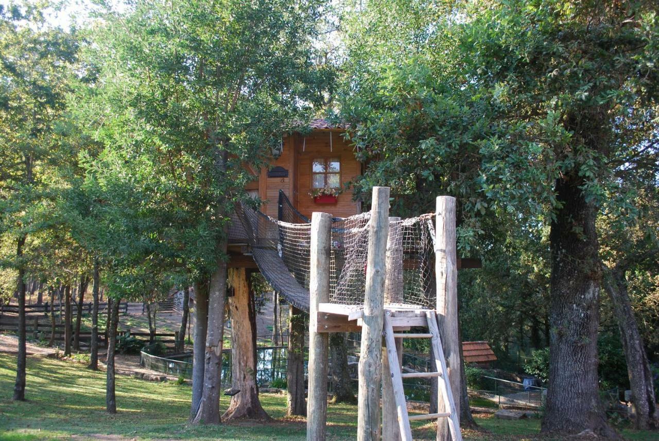 Quinta Padre Lobo Pension Santa Maria da Feira Buitenkant foto